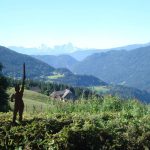 Kärnten Nockberge